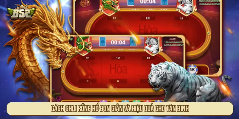 Cách chơi Rồng hổ đơn giản và hiệu quả cho tân binh