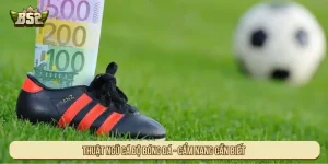 Thuật ngữ cá độ bóng đá - Cẩm nang cần biết